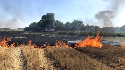 На Полтавщині згоріло 5 гектарів пшеничного поля