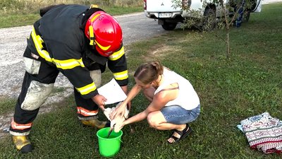 П’ять днів у гнізді без води та їжі: на Чернігівщині врятували лелеченя, яке не може літати П’ять днів у гнізді без води та їжі: на Чернігівщині врятували лелеченя, яке не може літати