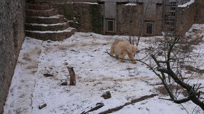 Як минув перший тиждень лютого на Миколаївщині у фото Як минув перший тиждень лютого на Миколаївщині у фото