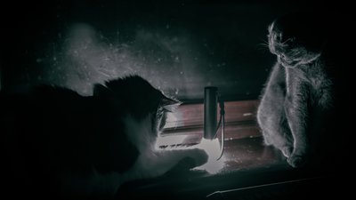 На Миколаївщині 27 вересня планово вимикатимуть світло