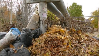 Через непорозуміння між двома ЖЕКами у Херсоні виникло стихійне звалище Через непорозуміння між двома ЖЕКами у Херсоні виникло стихійне звалище
