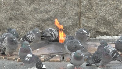 У Полтаві здорожчало утримання двох "Вічних вогнів": чому і на скільки У Полтаві здорожчало утримання двох "Вічних вогнів": чому і на скільки
