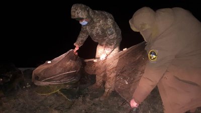 На Херсонщині прикордонники Херсонщини виявили 10 браконьєрських пасток