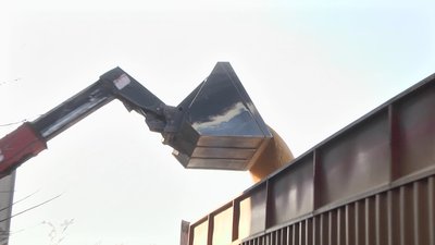 Як зберегти врожай: фермери Житомирщини завершують збір зернових Як зберегти врожай: фермери Житомирщини завершують збір зернових