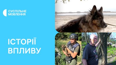допомога тваринам, порятунок тварин, баран, коти, собаки, корови