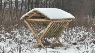 Облаштована підгодівля для тварин Облаштована підгодівля для тварин