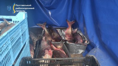 На Полтавщині затримали ймовірного браконьєра