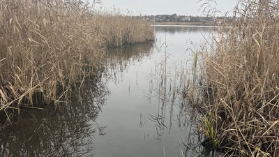 Зимувальні ями. Річка Інгул