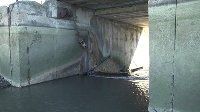 Прорив дамби у Романові: підтопило городи та хвилею зносило вулики Прорив дамби у Романові: підтопило городи та хвилею зносило вулики