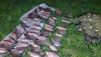 На Черкащині чоловік незаконно наловив карасів На Черкащині чоловік незаконно наловив карасів