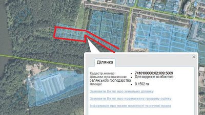 Карта земельних ділянок, на якій відбувалася вирубка дерев