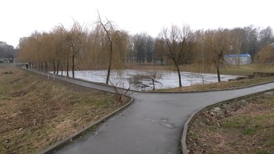 "Заросло настільки, що стіна": рятувальник розповів, як у водоймі Рівного шукали загиблого підлітка "Заросло настільки, що стіна": рятувальник розповів, як у водоймі Рівного шукали загиблого підлітка