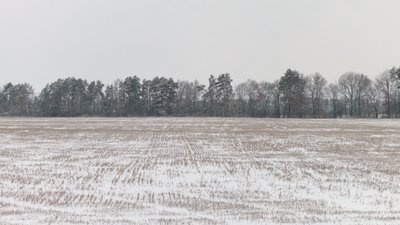 "Купуємо не від бажання, а щоб цього не зробив конкурент": яка ціна землі та чи продають її на Чернігівщині "Купуємо не від бажання, а щоб цього не зробив конкурент": яка ціна землі та чи продають її на Чернігівщині