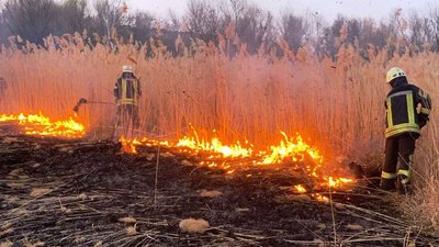На Франківщині за одну добу зафіксували 84 пожежі сухої трави