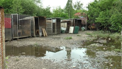 Зруйновані вольєри та налякані тварини. "Дім Сірка" після негоди
