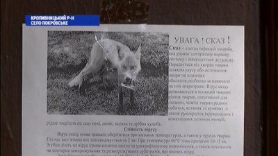 У селах Кіровоградської області ввели карантин через сказ тварин