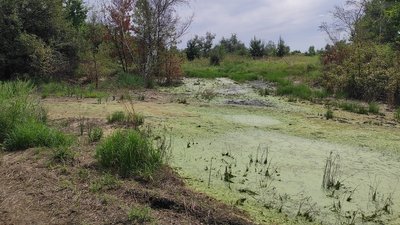 Самовільно збудовані дамби на Самарі. Чим загрожують та як з ними борються Самовільно збудовані дамби на Самарі. Чим загрожують та як з ними борються