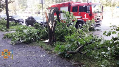 Наслідки негоди в Запоріжжі ліквідовували рятувальники