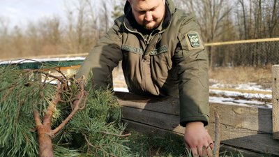 Понад 11,5 мільйонів саджанців хвойних та листяних порід дерев виростили лісівники Полтавщини Понад 11,5 мільйонів саджанців хвойних та листяних порід дерев виростили лісівники Полтавщини