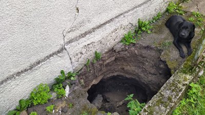 Через нове провалля у Розвадові на Львівщині священник та його дружина отримали травми