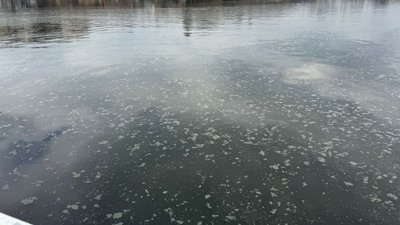 Плями на річці Південний Буг у Вінниці