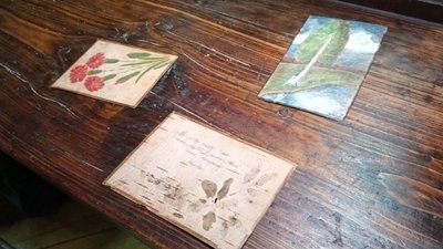 Листи на бересті з Тернопільщини можуть внести до списку документальної спадщини ЮНЕСКО Листи на бересті з Тернопільщини можуть внести до списку документальної спадщини ЮНЕСКО