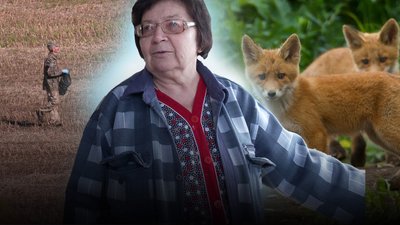 сказ, приманки