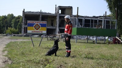 Померла собака-рятувальниця Жива, що служила на Сумщині