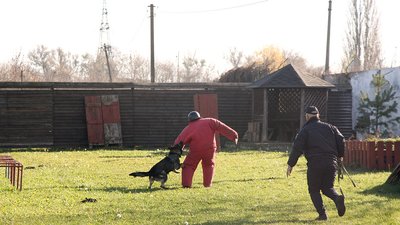 Майданчик для вигулу та дресування собак.