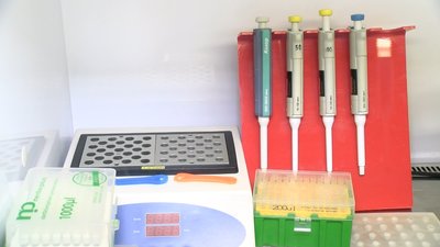 На Закарпатті не виявили жодного нового випадку COVID-19