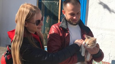 "Котиків шкода". На території Одеського жіночого монастиря облаштували притулок для тварин "Котиків шкода". На території Одеського жіночого монастиря облаштували притулок для тварин