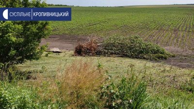 У Новоукраїнському районі потік води змив асфальт з дороги. Затопило міст У Новоукраїнському районі потік води змив асфальт з дороги. Затопило міст