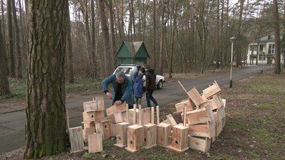 На Чернігівщині розвісили 50 шпаківень до Міжнародного дня птахів