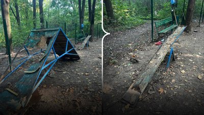Майданчик для вигулу собак у парку Жовтневому у Чернівцях