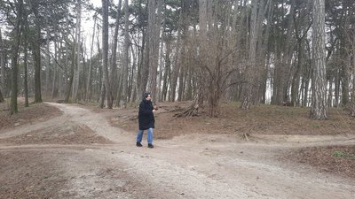 Реконструкція Личаківського парку Реконструкція Личаківського парку
