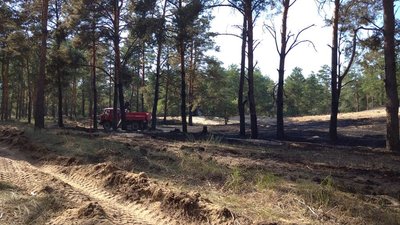 На Херсонщині за добу сталось 20 пожеж в екосистемах На Херсонщині за добу сталось 20 пожеж в екосистемах