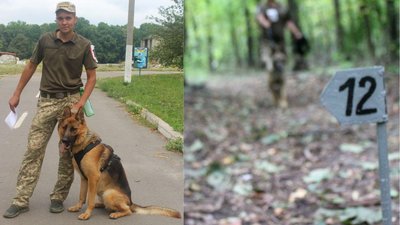 На Сумщині відбулися багатоборства кінологів