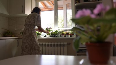 Фіалка за донат: черкащанка продає квіти задля підтримки ЗСУ