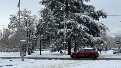 Очищають та посипають сіллю й піском: як в Ужгороді долають наслідки снігопаду 