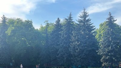 погода