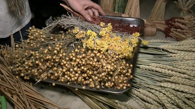 "Хто любить в'язати чи вишивати, рахують хрестики, а я рахую колосочки": майстриня з Волині 15 років плете дідухи "Хто любить в'язати чи вишивати, рахують хрестики, а я рахую колосочки": майстриня з Волині 15 років плете дідухи