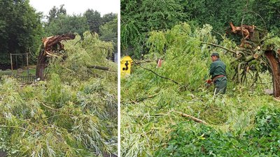 У Кропивницькому наслідки буревію усували три бригади комунальників і сотня рятувальників