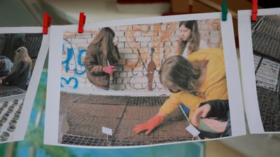"Сади перемоги": в житомирському ліцеї зібрали перший врожай "Сади перемоги": в житомирському ліцеї зібрали перший врожай