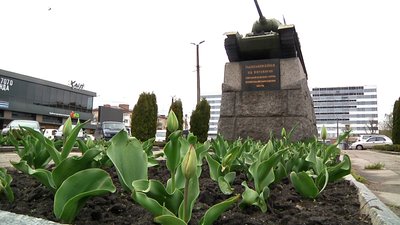 У Житомирській міськраді розповіли, куди перенесуть танк із майдану Перемоги