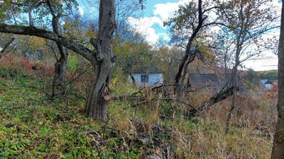 Село Корчунок на Франківщині: 15 років самотності