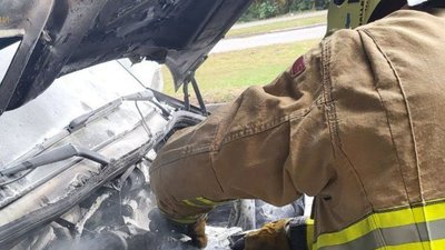 У Запоріжжі автівка в'їхала в дерево 