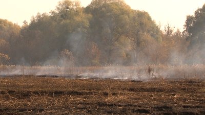 На Черкащині тиждень горить торф: залишилося згасити більше гектара пожежі На Черкащині тиждень горить торф: залишилося згасити більше гектара пожежі