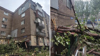 Повалені дерева та затоплений шкільний підвал: на Криворіжжі рятувальники ліквідували наслідки негоди