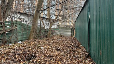 Житомир, немовля, дитина, новонароджений
