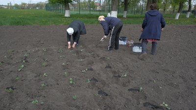 Громада на Вінниччині долучилася до всеукраїнської кампанії "Сади перемоги"